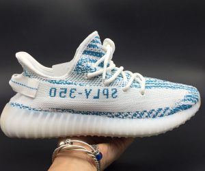 yeezy zebra bleu